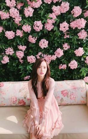 Image - Jisoo Birthday.PNG | BLACK PINK Wiki | FANDOM powered by Wikia