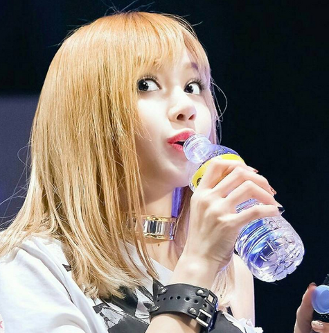 Image - Lisa drinking water.PNG | BLACK PINK Wiki | FANDOM powered by Wikia