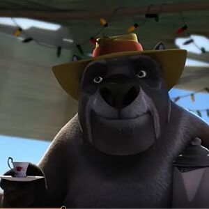 Wombo Wombat Gallery Blinky Bill Wiki Fandom