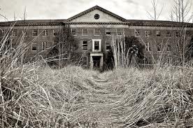 Asylum