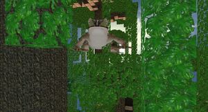 Shiva1
