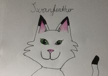 Swanpaw(feather).fursona