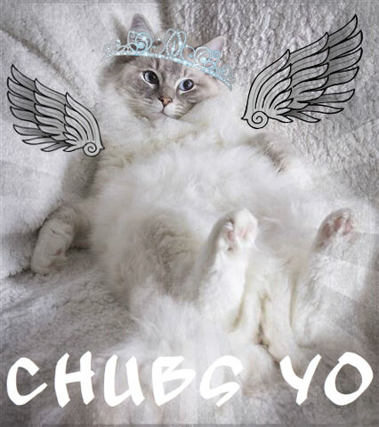 File:Chubs-0.jpg