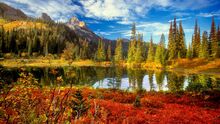 Image-1473736889