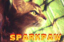 Sparkpaw1