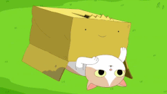 Adventuretimeboxprince