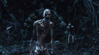 Labyrinth Watcher (group)