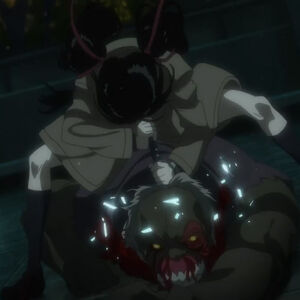 Blood c the last dark wallpaper