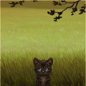 Tigerfur Bloodclan Wiki Fandom