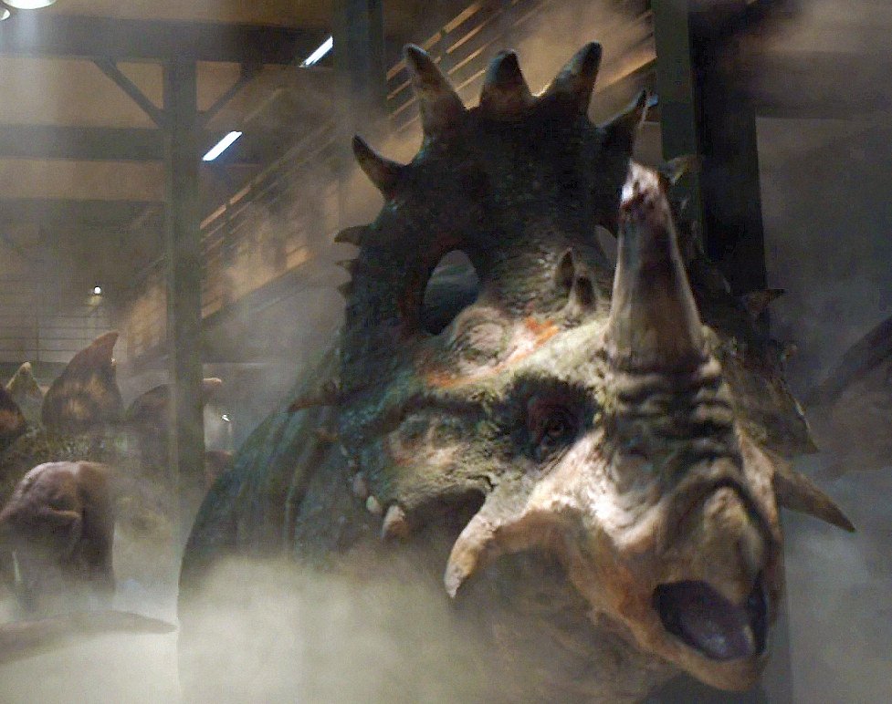 sinoceratops fossil