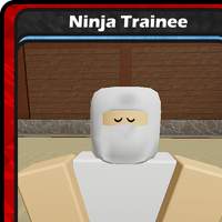 Ninja Trainee Blox Cards Wikia Fandom - blox cards neodragon deck