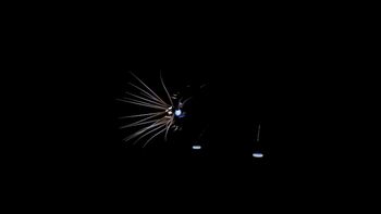 CRE Flelenlite-0c82f496 sml