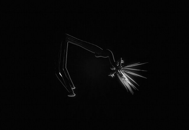 File:Felenlite X-ray.jpg