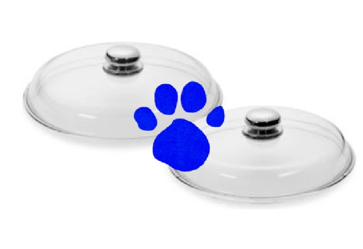 Image Pot Lids (1st Blue's Clues).png Blue's Clues Fanon Wiki