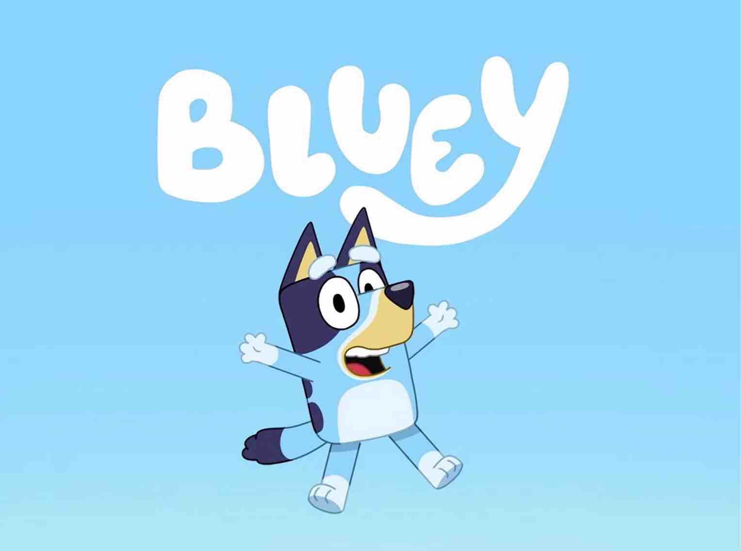bluey characters