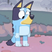 Bluey Heeler Bluey Wiki Fandom