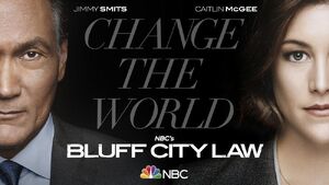Bluff City Law Cover