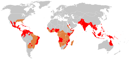 Dengue