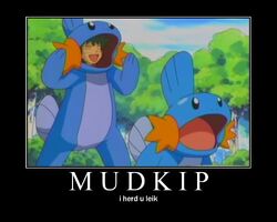 Mudkip