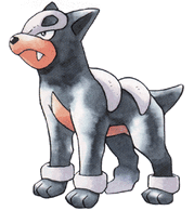 Houndour
