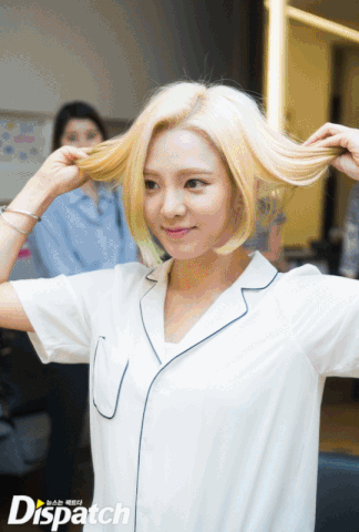 File:Iroesg.gif