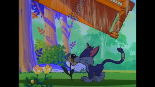 File:Furrball's unlucky.png