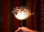 180px-Mr. Puff
