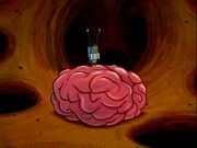 Plankton! 089