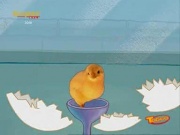 El Huevo de Roger