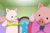 FemalePigs