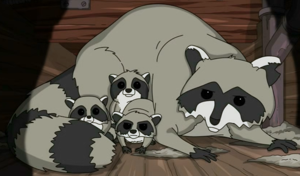 Raccoons In Bob'S Burgers - Introduction
