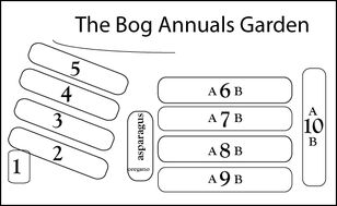 Bog-Garden