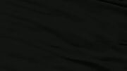 Blackknightflag