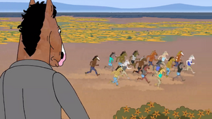 That Went Well Bojack Horseman Wiki Fandom