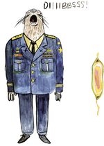 neal mcbeal bojack horseman