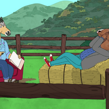 A Horse Walks Into A Rehab Bojack Horseman Wiki Fandom