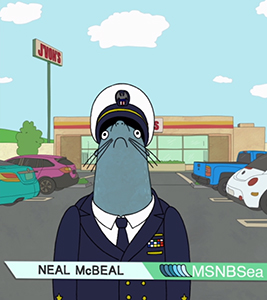 neal mcbeal bojack horseman