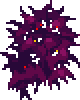 Wall Bats