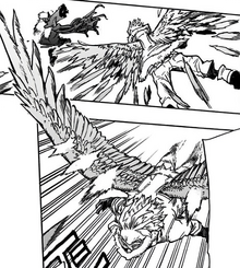 Fierce Wings