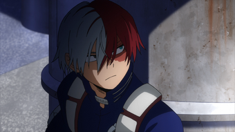 Shoto Todoroki Disguise