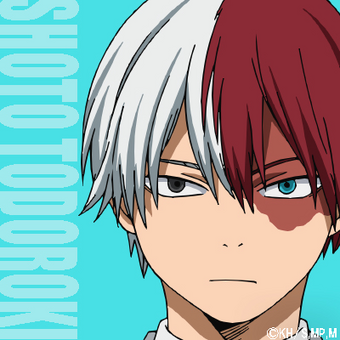 Full Body Shoto Todoroki Smile