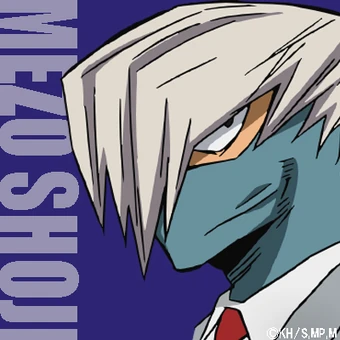 Popularity Polls My Hero Academia Wiki Fandom