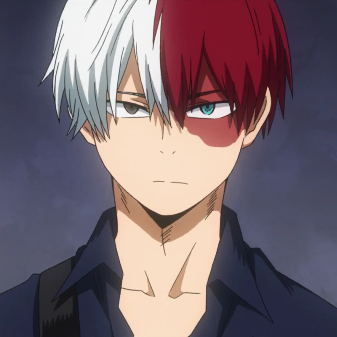 Image - Shoto casual mugshot.png | Boku no Hero Academia Wiki | FANDOM