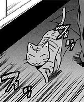 Monster Cat My Hero Academia Wiki Fandom