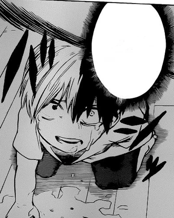 Shoto Todoroki Historia My Hero Academia Wiki Fandom