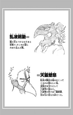 Volume 16 Rappa and Tengai Profile