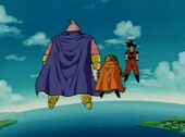 Buu, Babidí i Goku