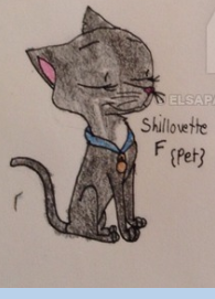 Shillouette
