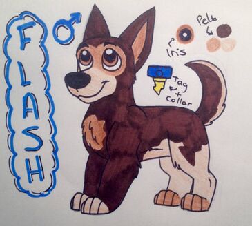 Flash