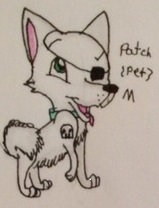 Patch